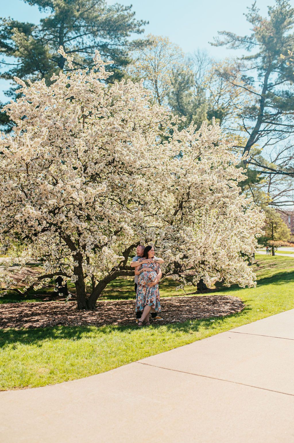 Person standing beside a blooming white tree along a sidewalk on a sunny day