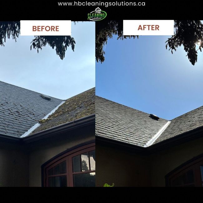 Roof Cleaning Victoria BC