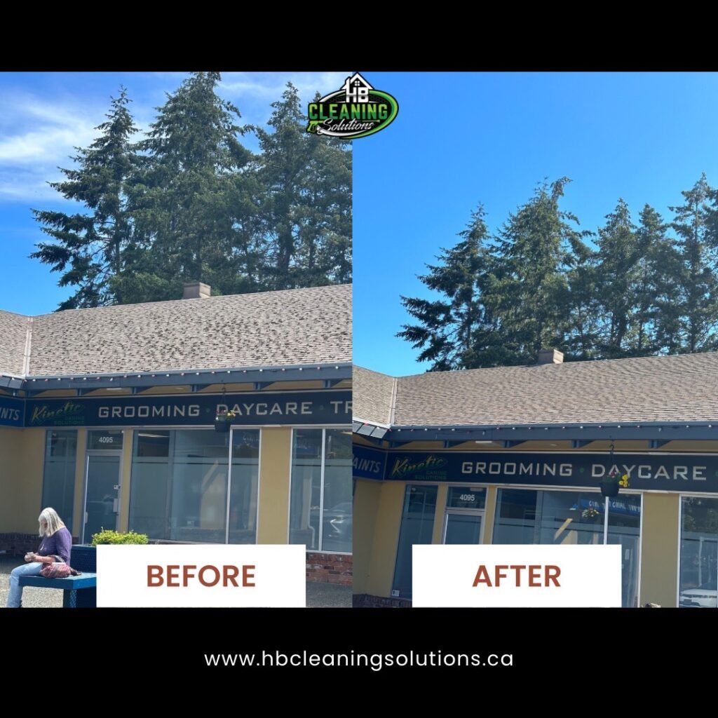 Before and after roof stain removal