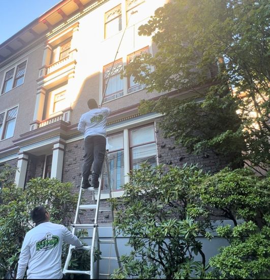 Window Washing Victoria BC