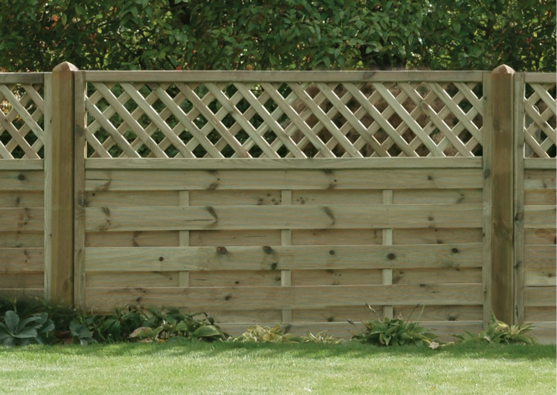 Lattice trellis fence Edinburgh