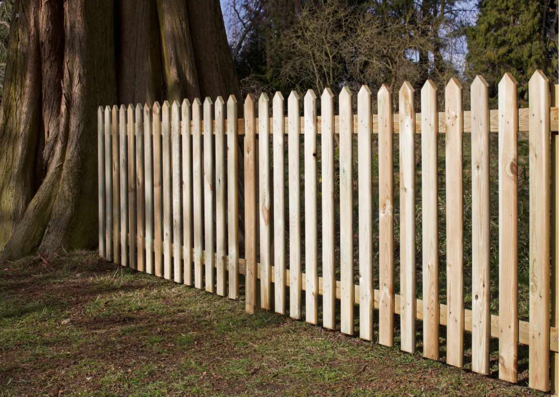 Picket fence panels Edinburgh