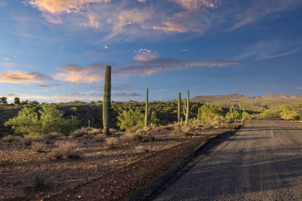 QUIET HILLS DRIVE LOT 1 - 
MORRISTOWN