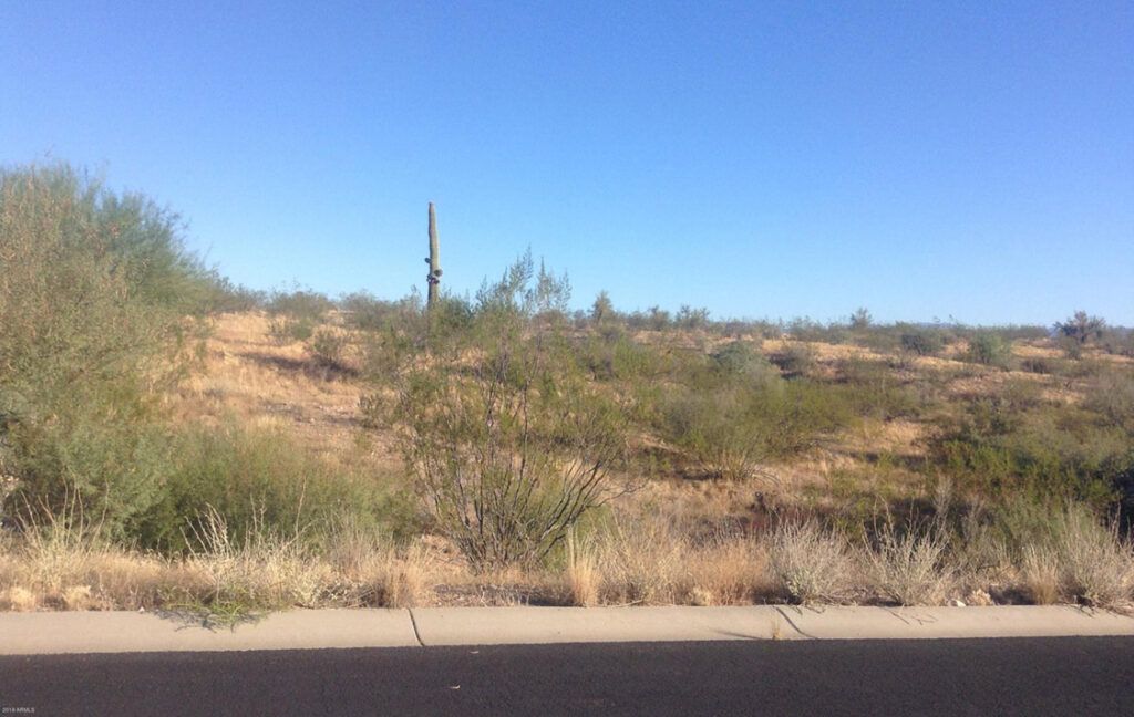 0 PERCHERON ROAD, 102 - WICKENBURG