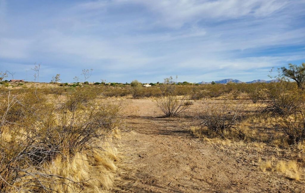 3 N HIGHWAY 89 - WICKENBURG