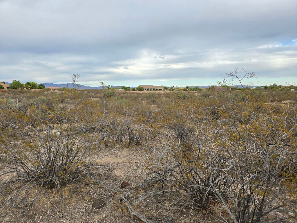 35525 SOUTH ANTELOPE CREEK - 
WICKENBURG