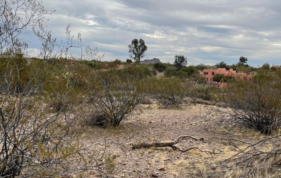 50835 THRASHER LANE, 47 - WICKENBURG