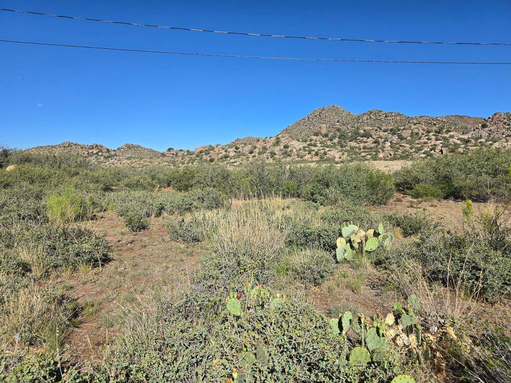 23358 SOUTH CANDY CANE - 
YARNELL