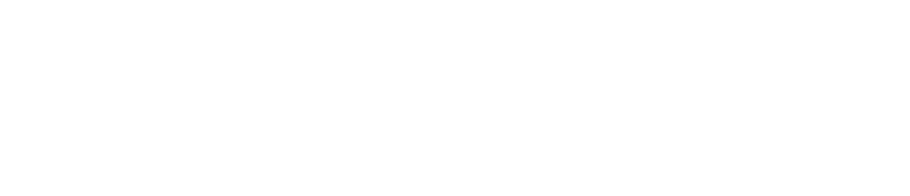Mostly blank white screen with a thin black horizontal line near the center and a light gray band at the bottom.