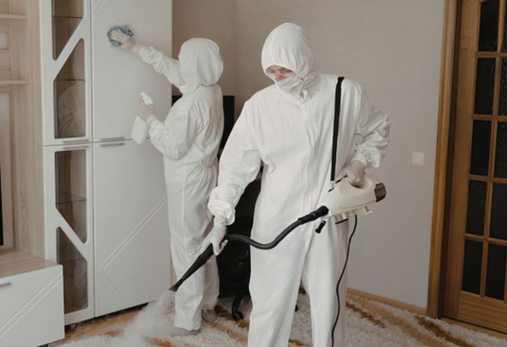 pest control in Port Orchard WA