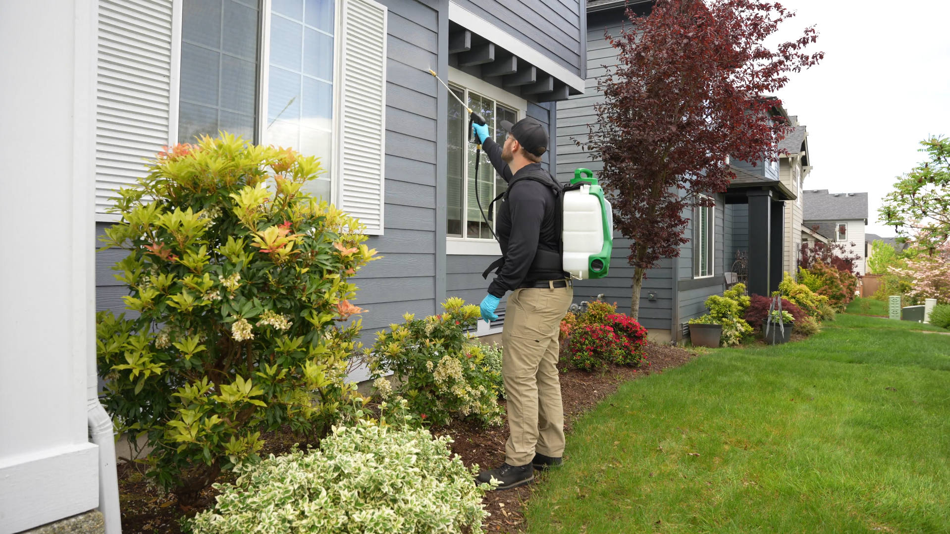 Person watering plants beside a townhouse with a backpack sprayer, standing by a manicured lawn and shrubs