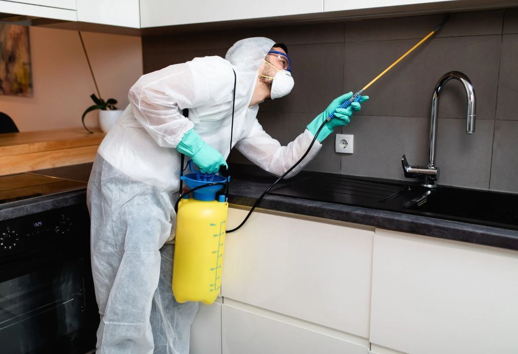 pest control Bremerton WA