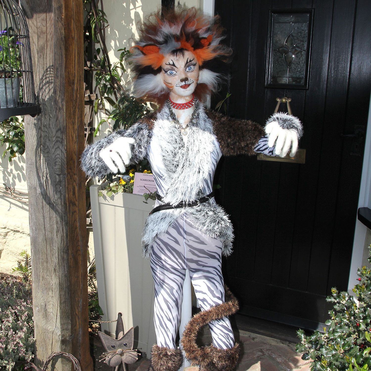 SCARECROW CATS