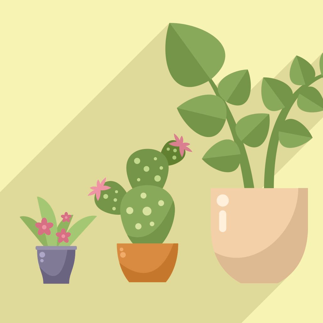 PLANT SALE