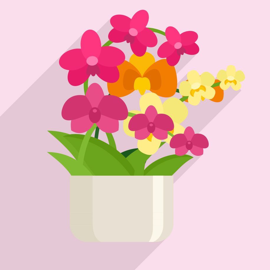 FLORAL DISPLAY