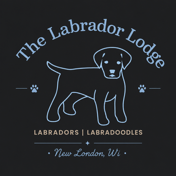 A white background with the words `` labradors i labradordoodles hortonville , wi '' written on it.