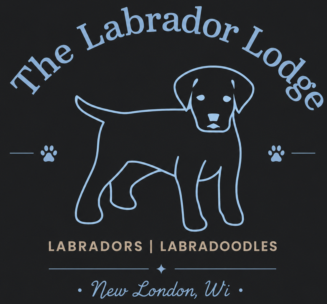A logo for labradors and labradoroodles in hortonville , wi.