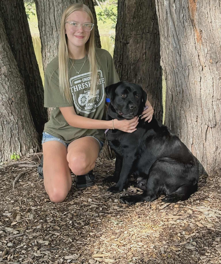 A woman is sitting in the grass with two labrador dogs