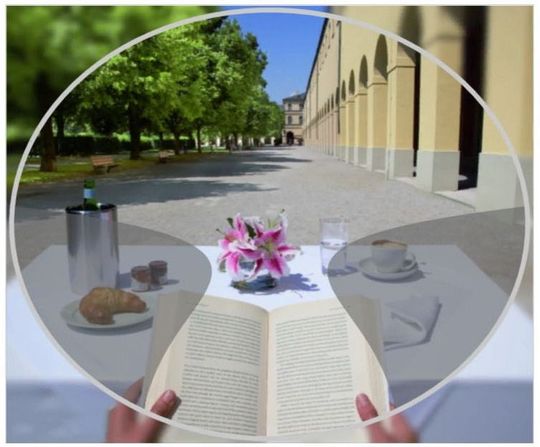 campi visivi e le zone aberrate (in grigio) delle lenti progressive standard e delle lenti progressive personalizzate.