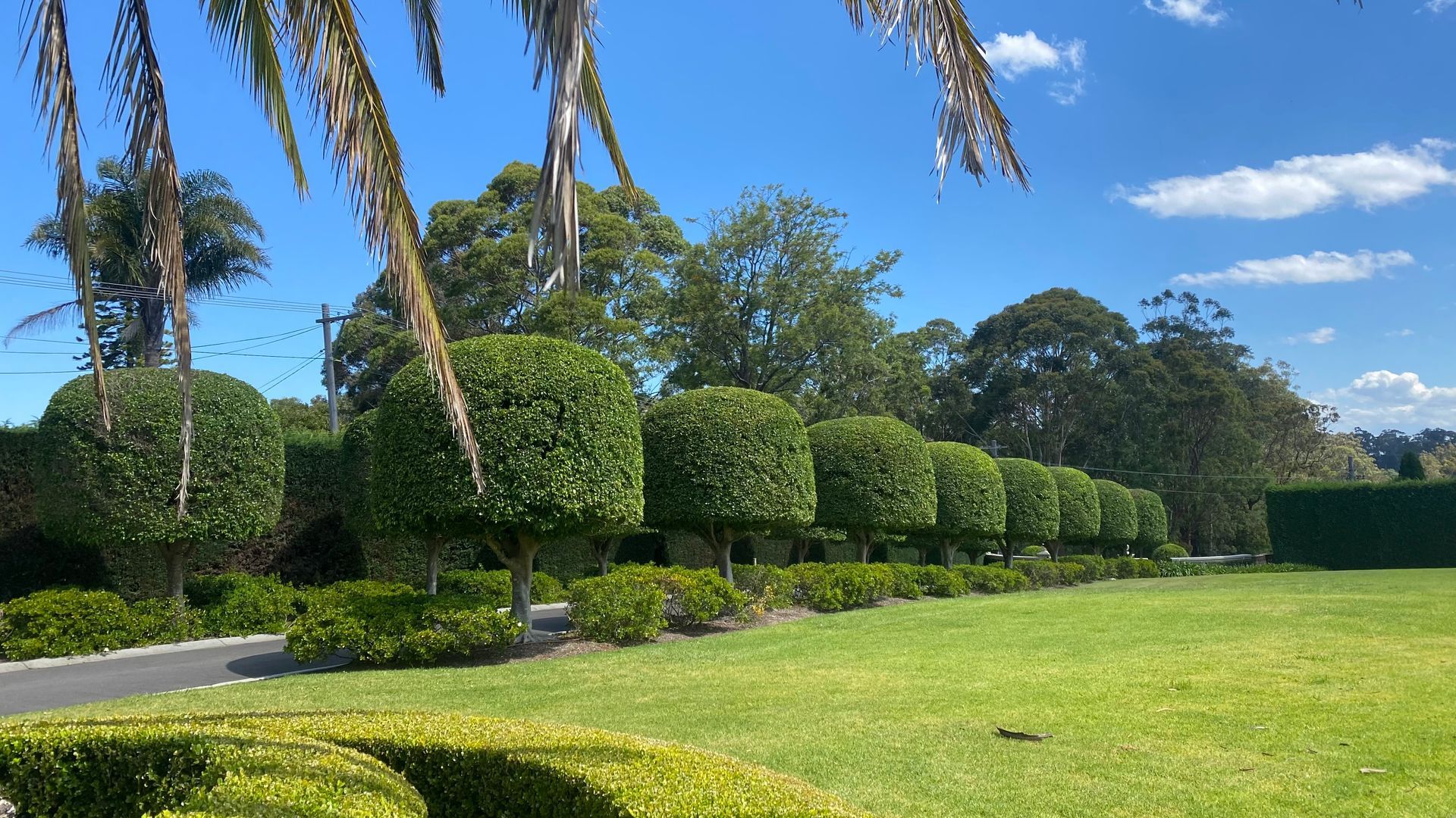 Garden maintenance