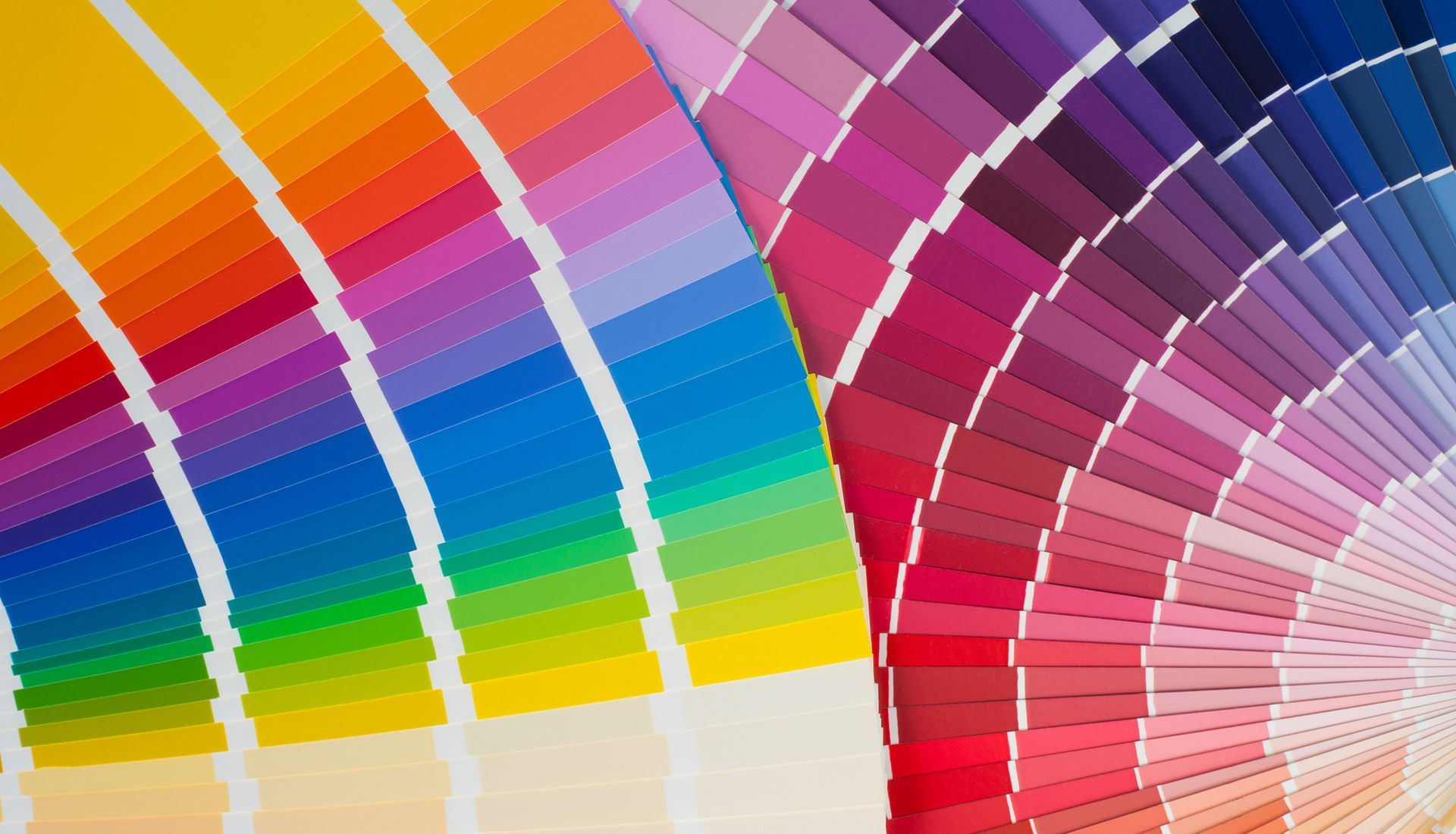 Color swatches fanned out, showcasing a spectrum of hues: yellow, orange, purple, blue, green, and red.