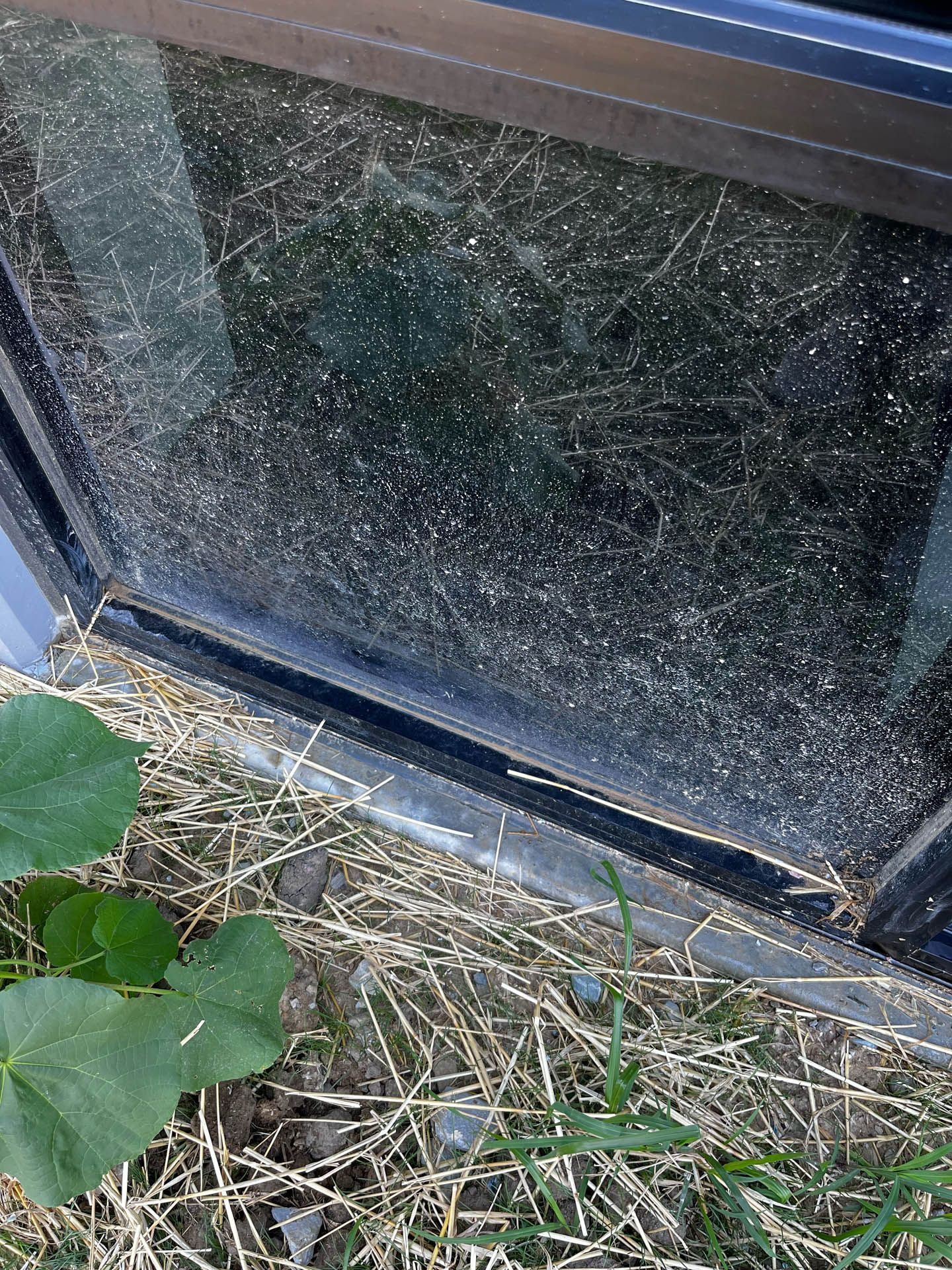 Dirty window pane with cracked glass and weeds at the base of a wall