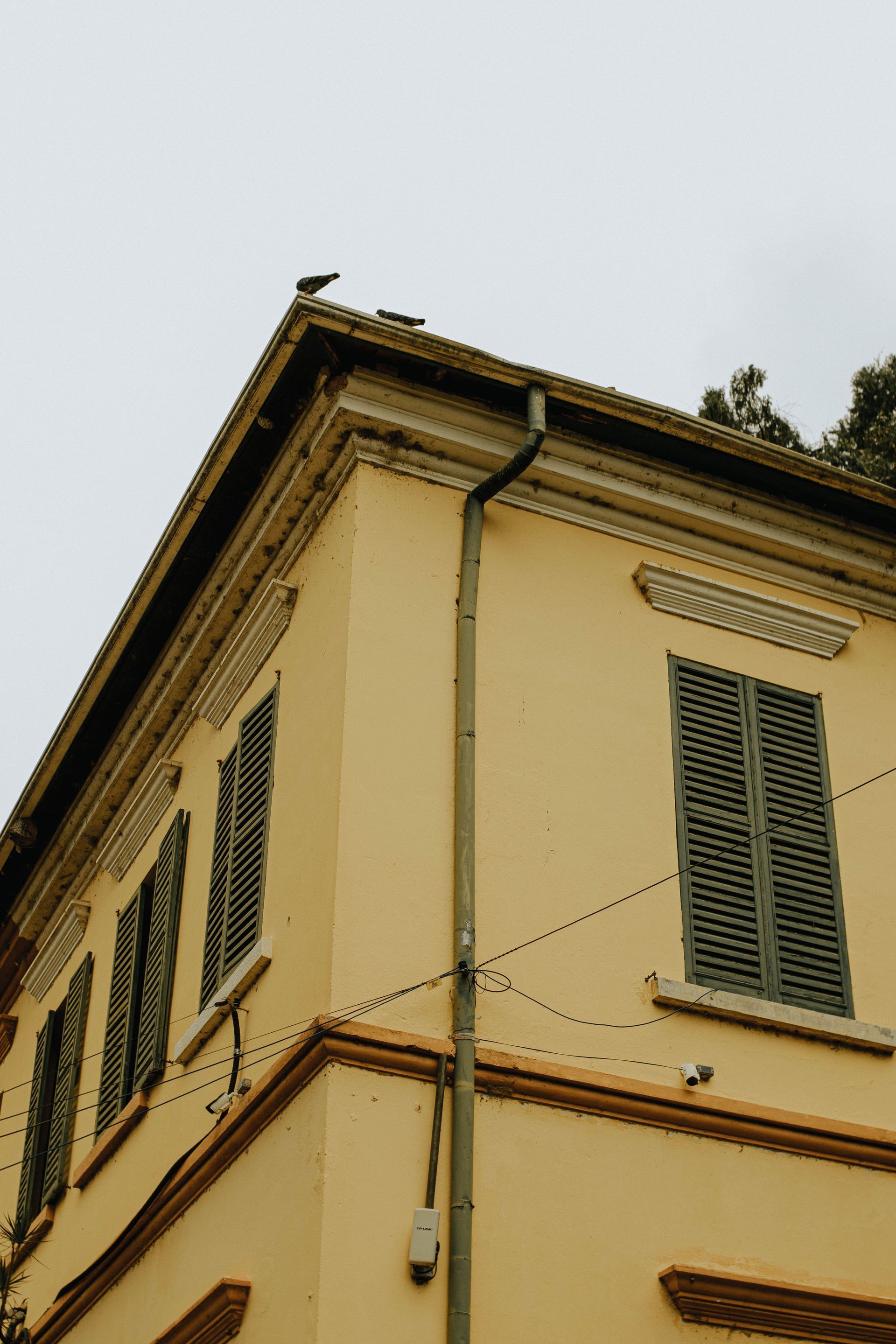Corner of a pale yellow building with green shutters and ornate roof trim against a gray sky