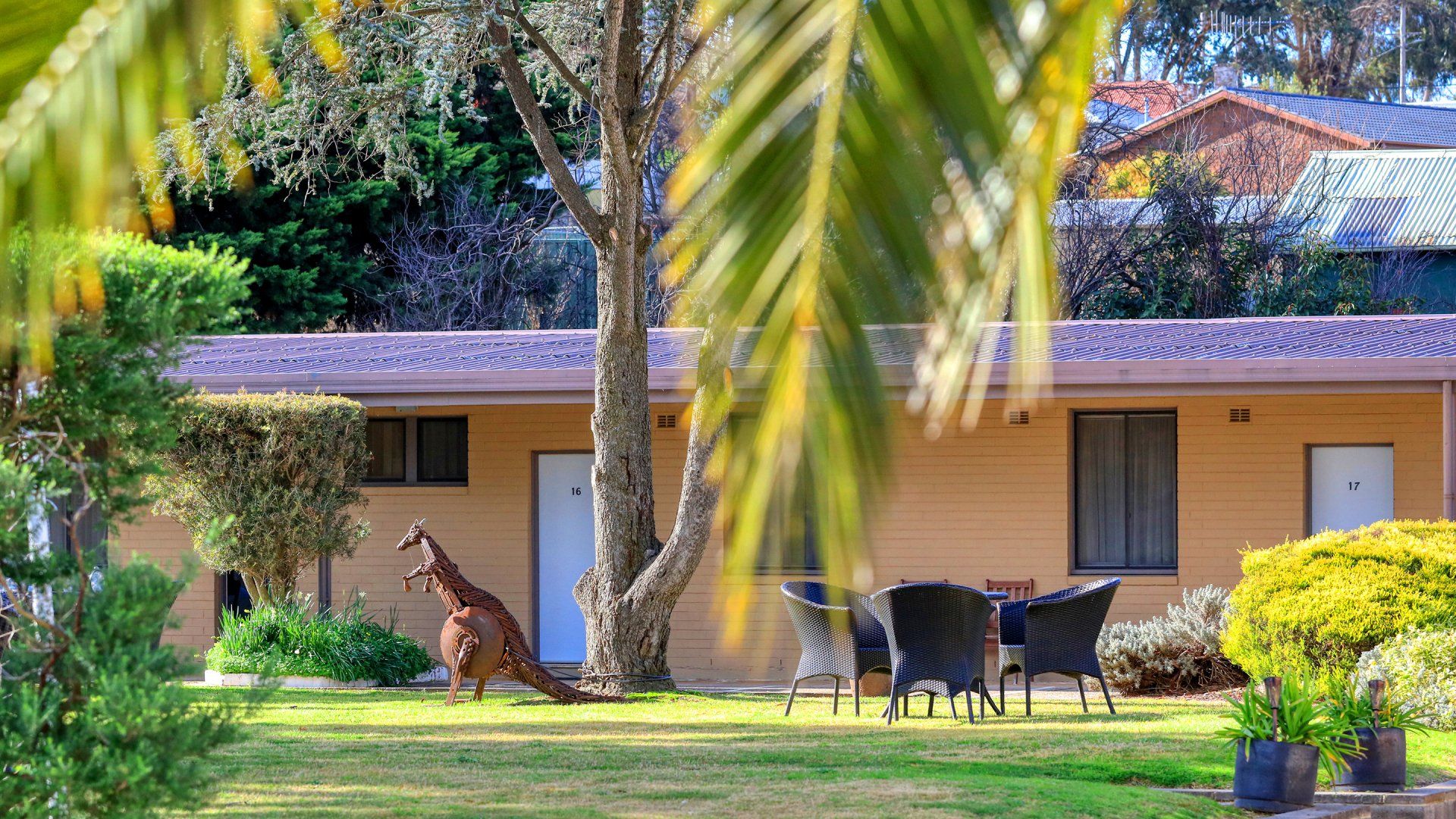 Kangaroo on a lawn beside a house with patio chairs, framed by palm leaves and a pool in the foreground