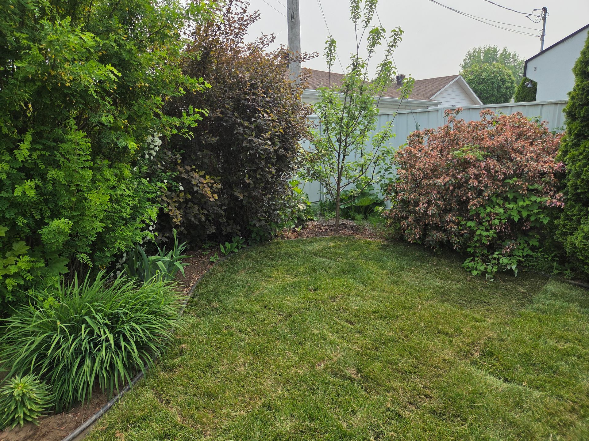 photo2