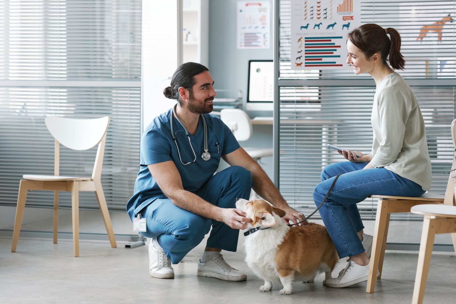 Veterinarian examining a friendly dog during a wellness visit with its owner in the clinic.