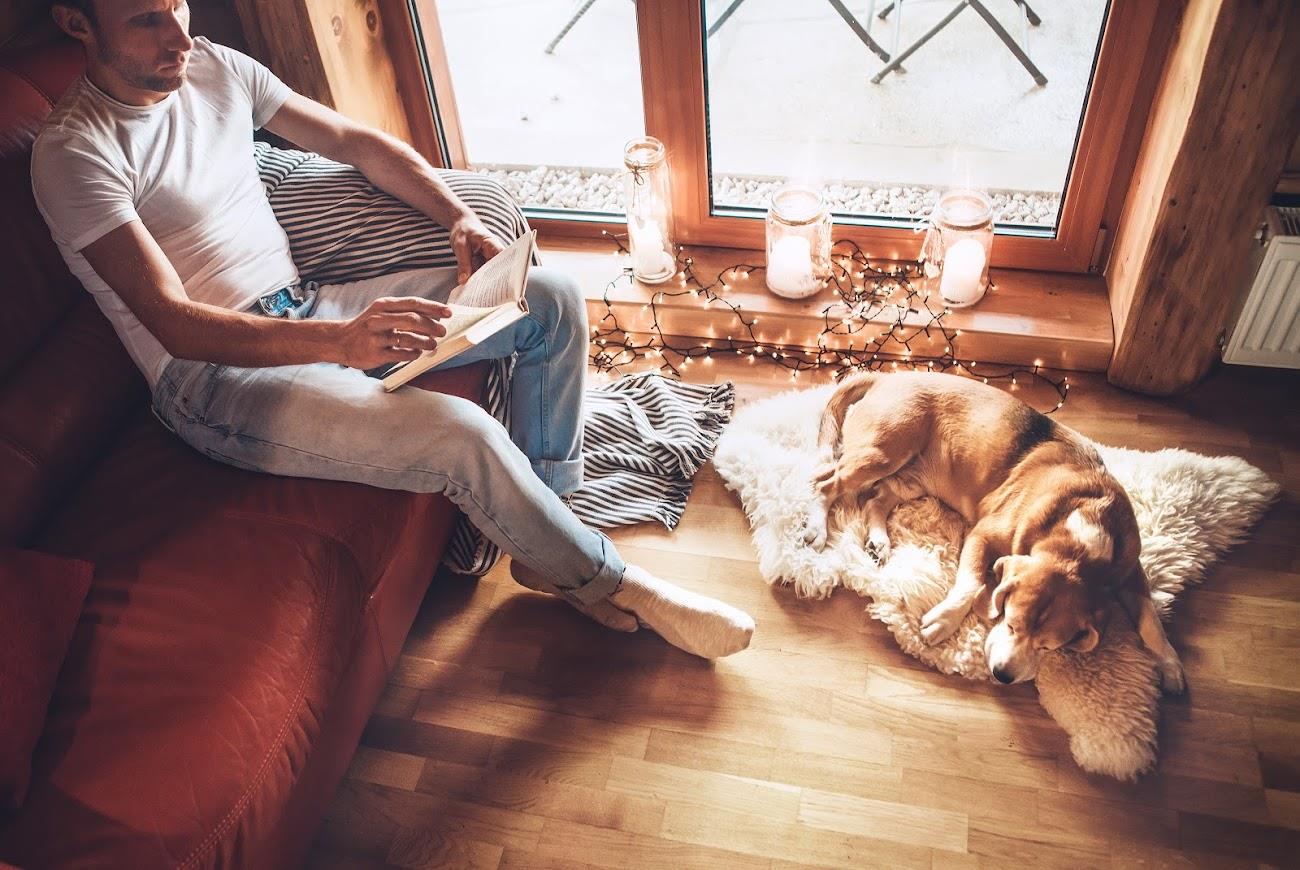 Resting Dog — Seattle, WA — South Seattle Veterinary Hospital Man writing on couch with dog sleeping on rug by a window.