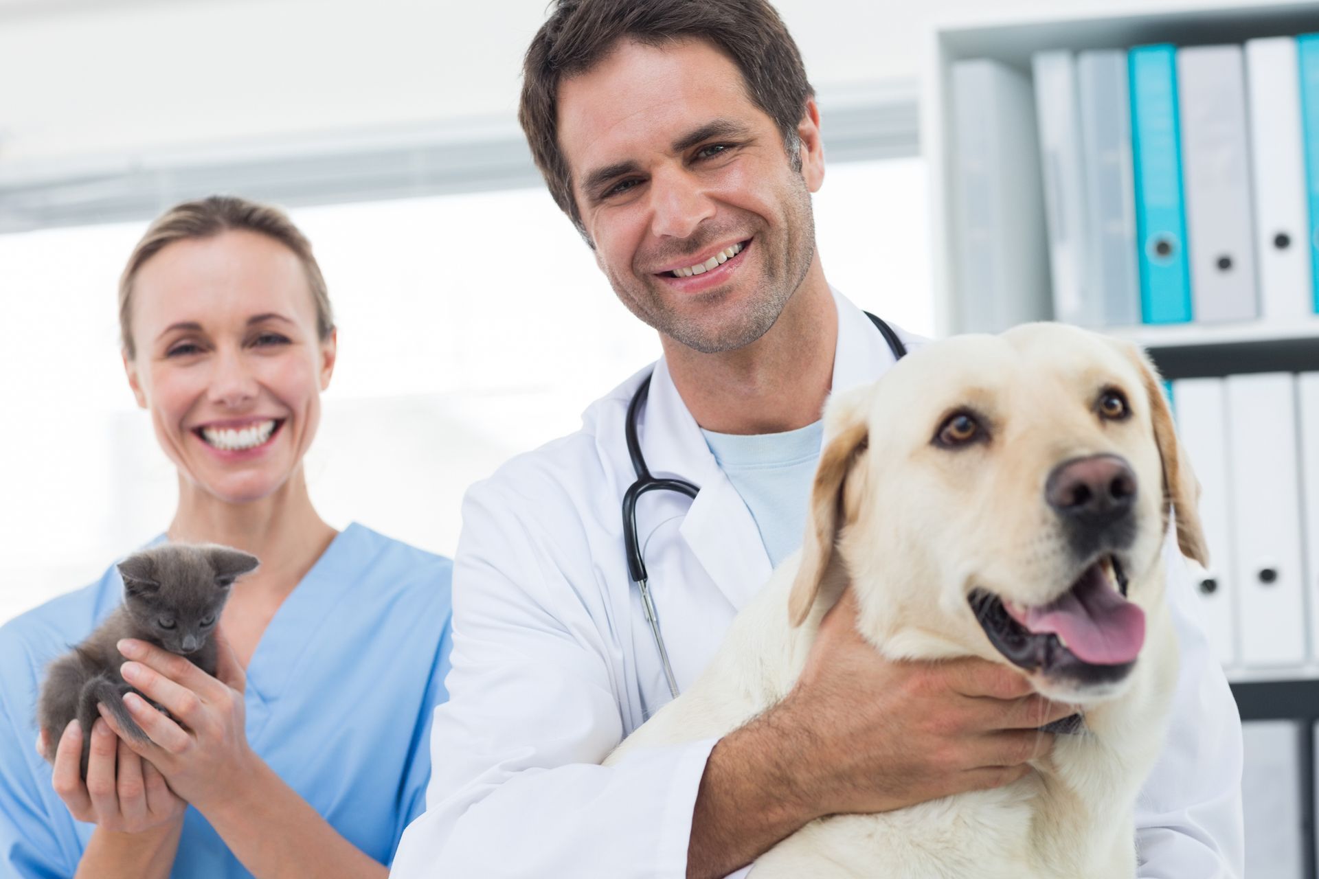 Vet and assistant with happy dog and kitten. They smile at the camera in an office setting. Vet and assistant with happy dog and kitten. They smile at the camera in an office setting.