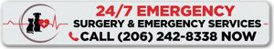 Red banner with white text: