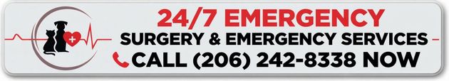 Red banner with white text:
