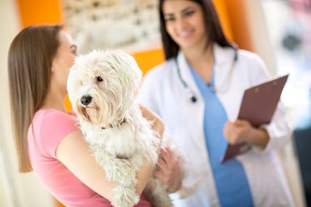 Woman holding a white dog at vet's office. A smiling vet in a white coat looks on, holding a clipboard.