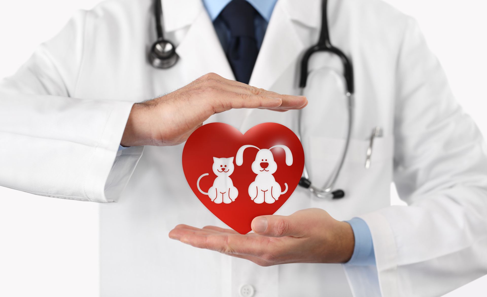 Doctor holding a red heart with a cat and dog, promoting pet health.