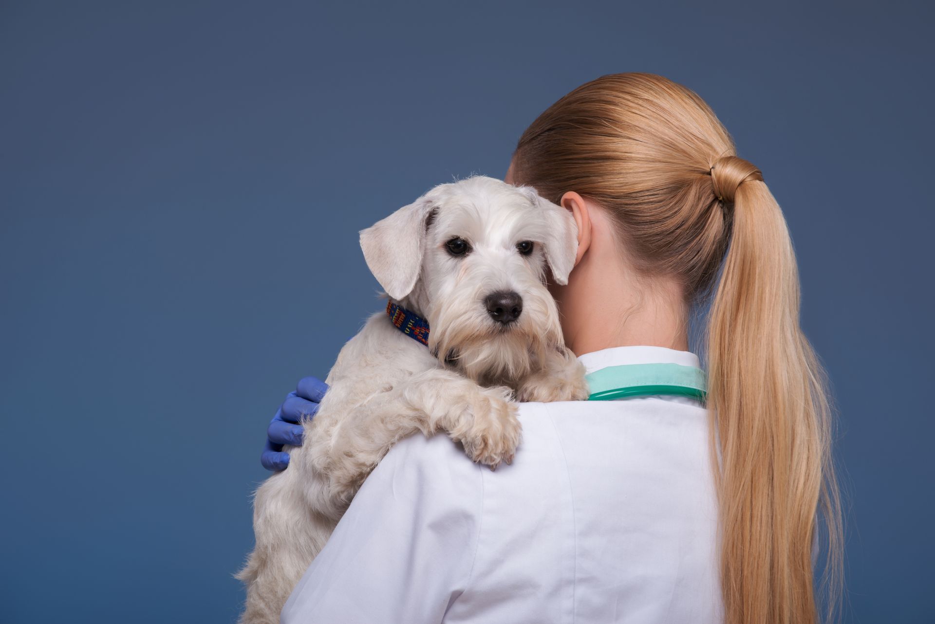 Blonde person in white coat holding a small white dog; blue background.
