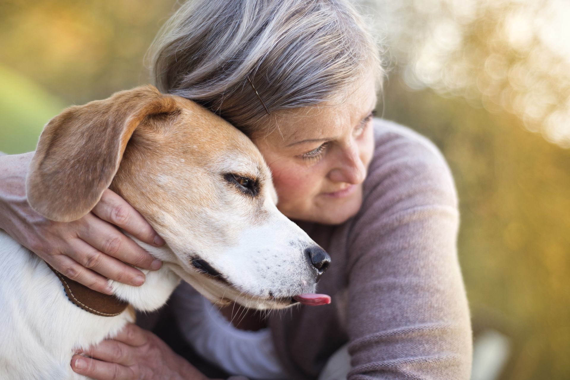 Woman hugging a dog, both with closed eyes; dog's tongue out, outdoors in soft sunlight.