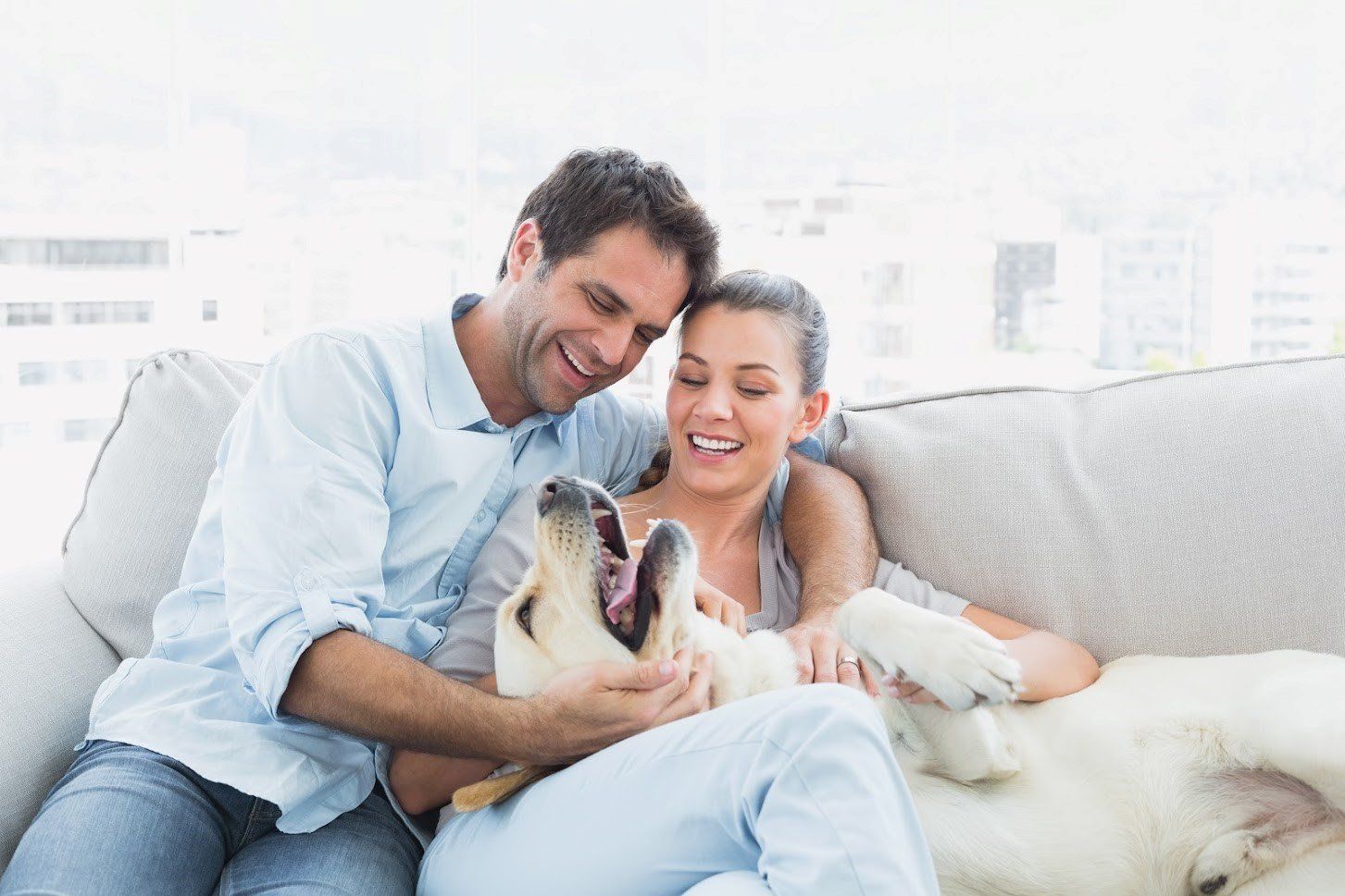 Couple petting a happy yellow Labrador dog on a couch indoors.