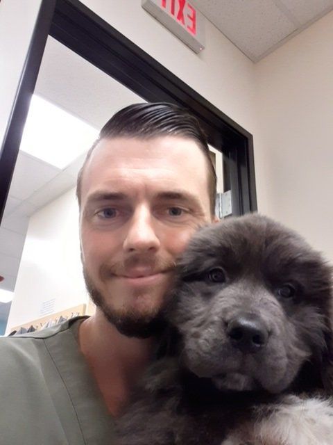 Man in green scrubs holding a fluffy gray dog, in an office setting.