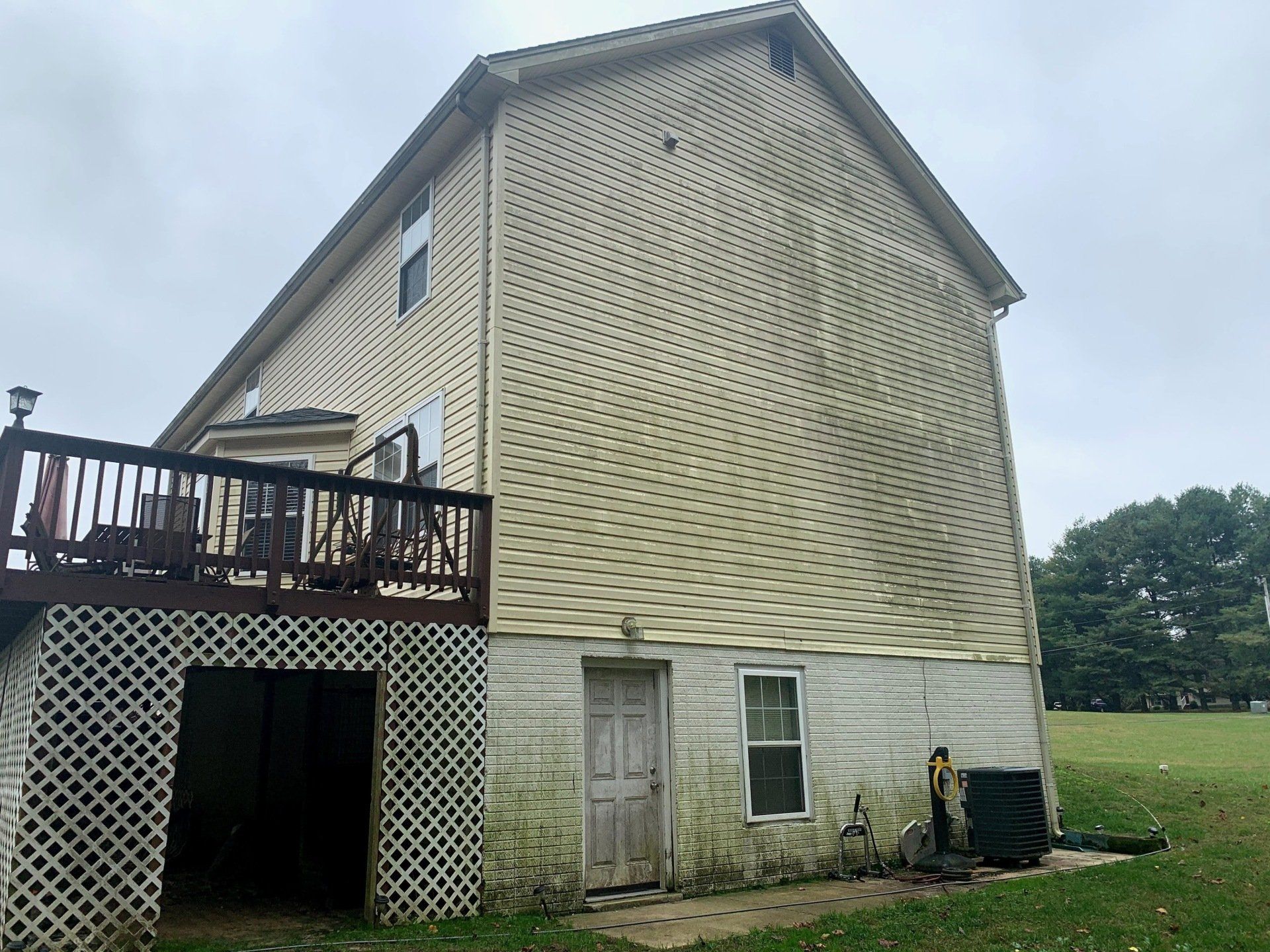 house-with-algae