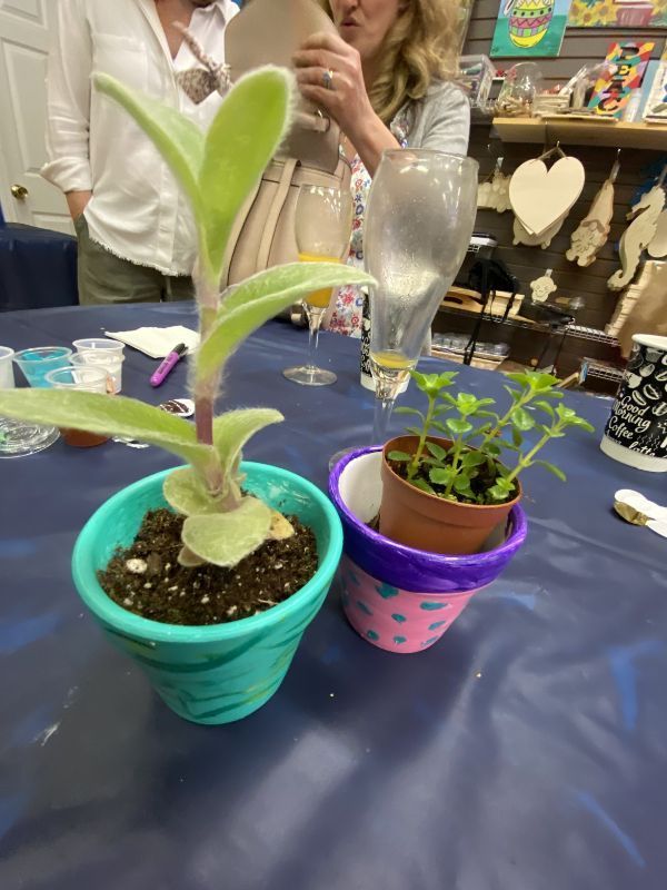 Two small potted plants on a blue table at a craft fair, with people and hanging decorations in the background