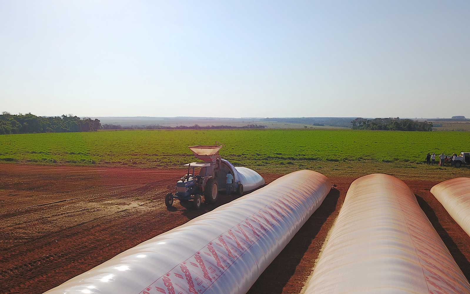 silo bolsas