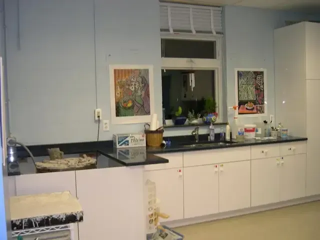 Kitchen counter with sink, white cabinets, and framed art on light blue walls.