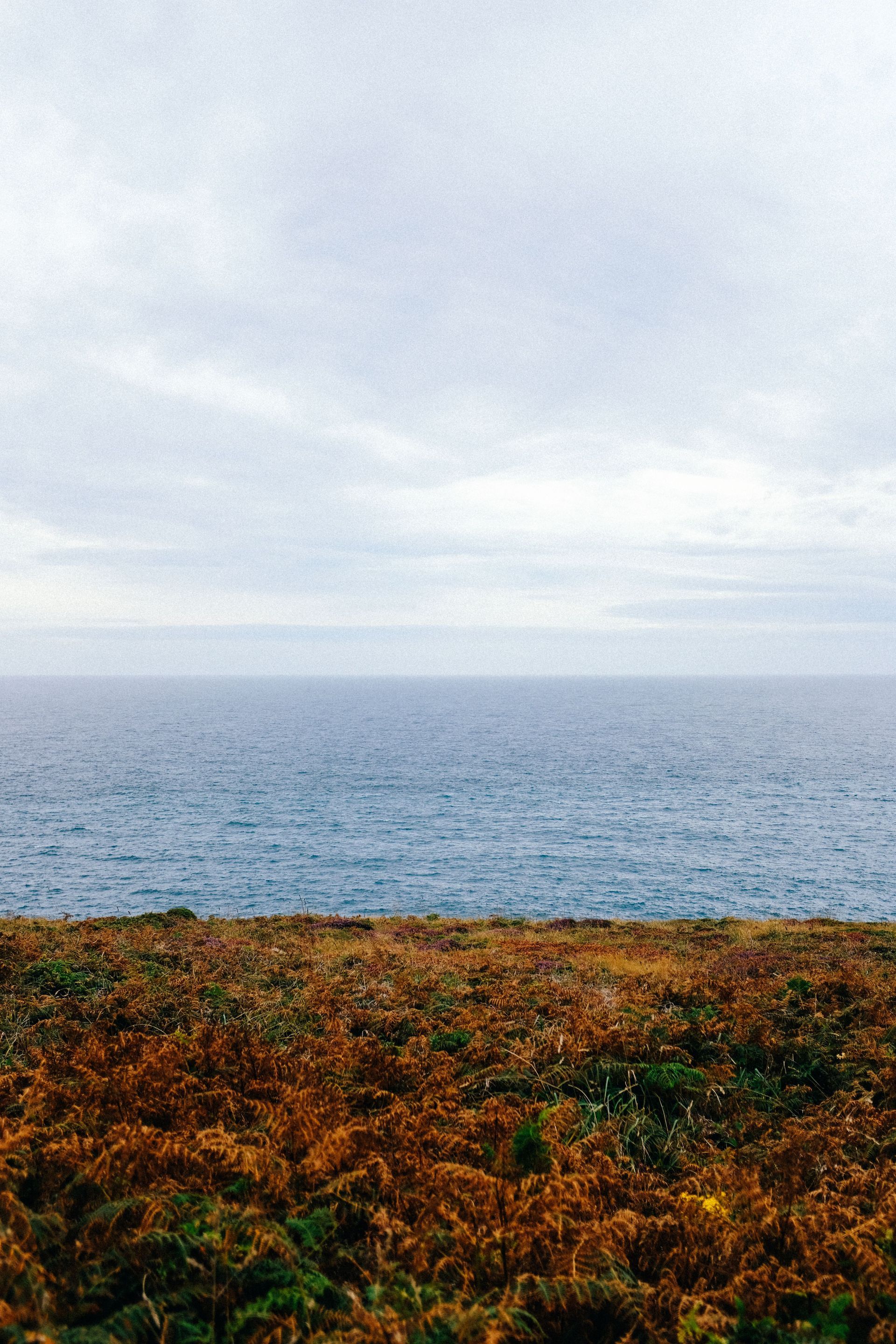 Distant ocean beneath a cloudy sky, with brown-orange vegetation in the foreground.