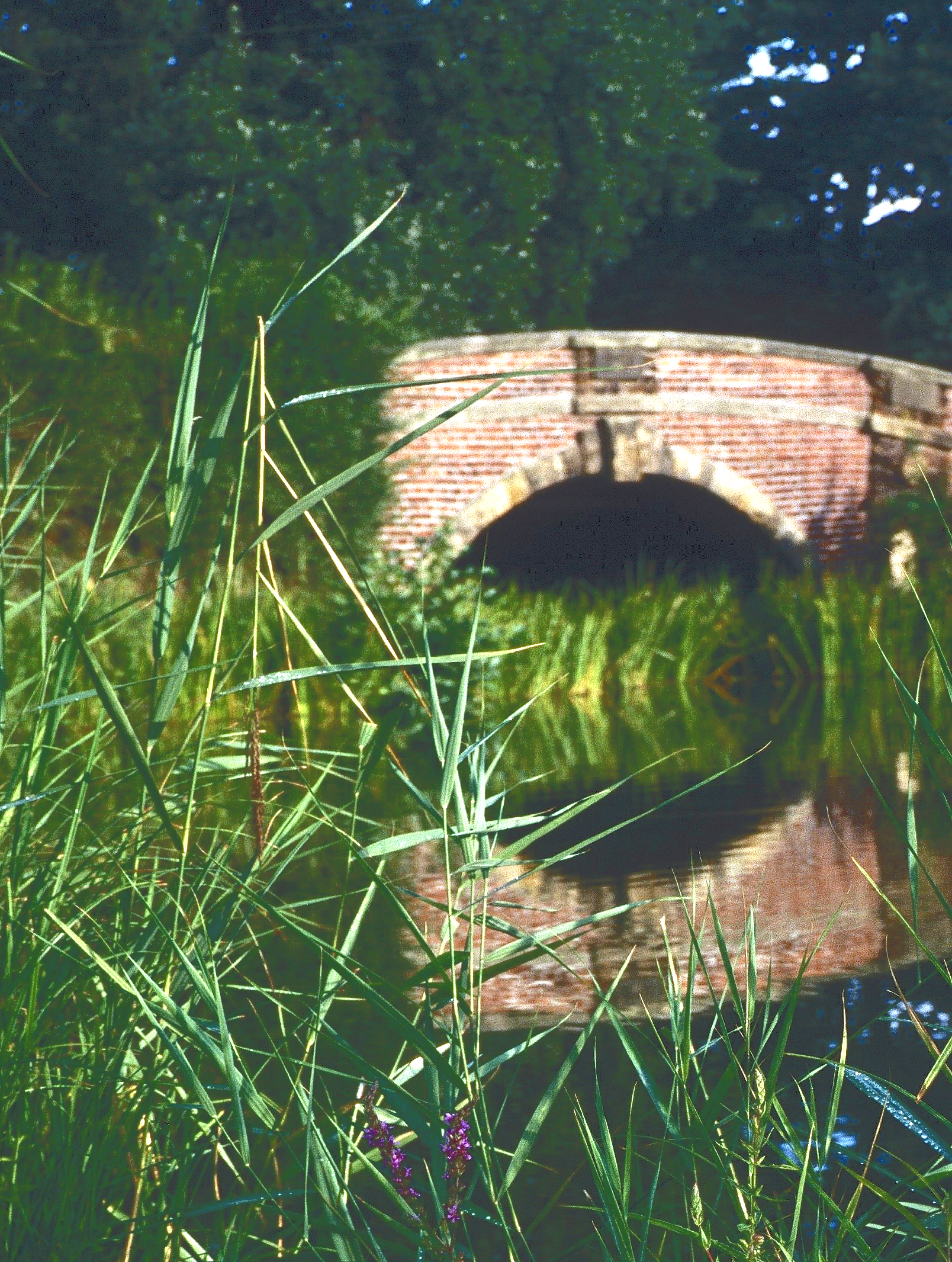 Eine Backsteinbrücke spiegelt sich im Wasser eines Teiches