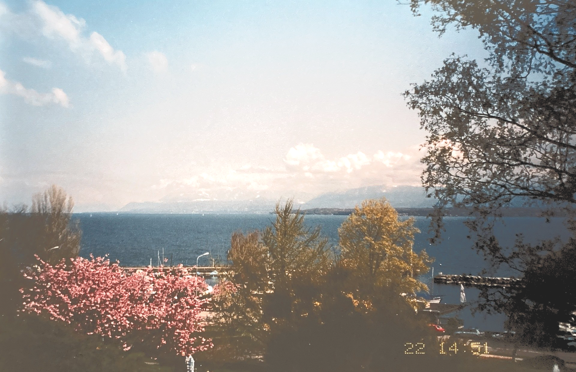 Ein Blick auf das Meer mit Bäumen im Vordergrund
