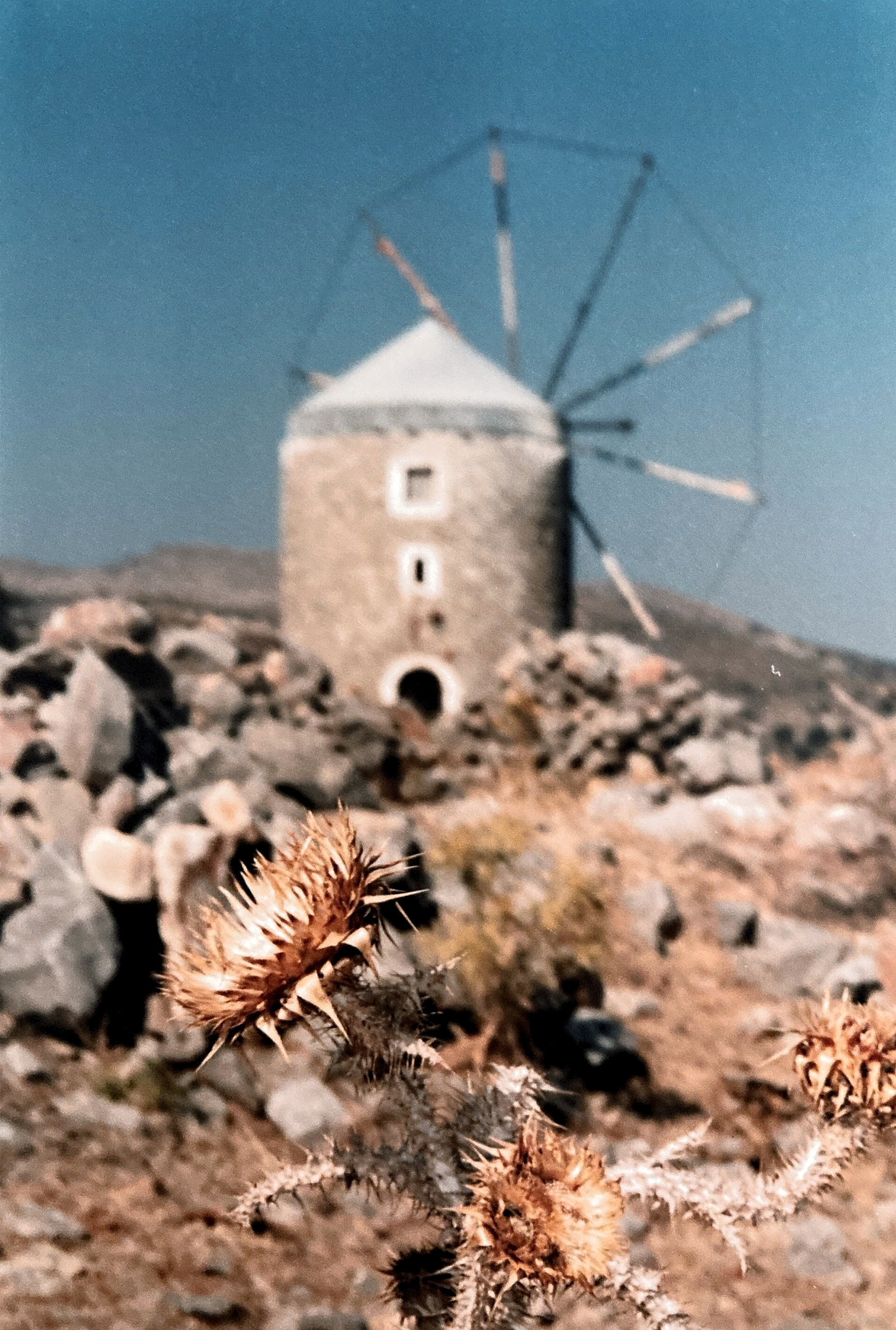 Im Hintergrund dieses Fotos ist eine Windmühle zu sehen