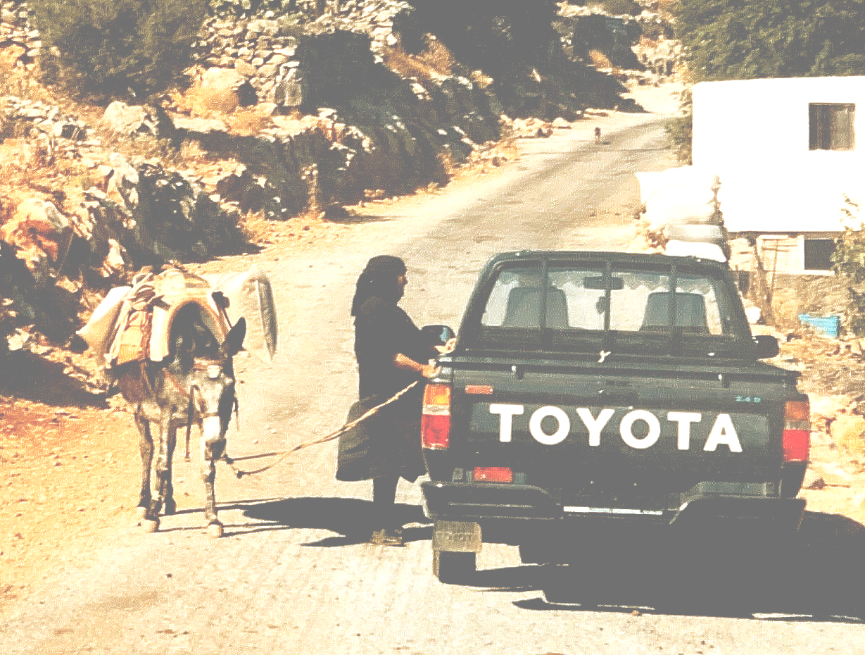 Ein Toyota-Truck zieht einen Esel eine Straße entlang