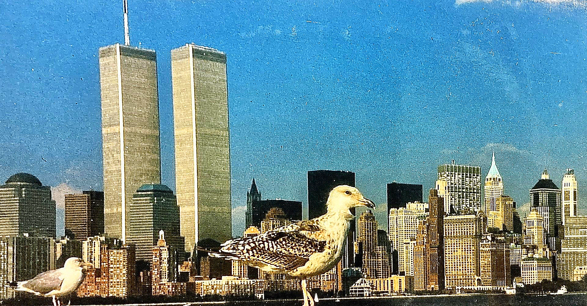 Zwei Möwen stehen vor den Zwillingstürmen des World Trade Centers
